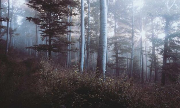 Non quidem aut aliquam tenetur ab
